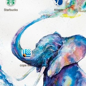 Meet your Posher, Shamein